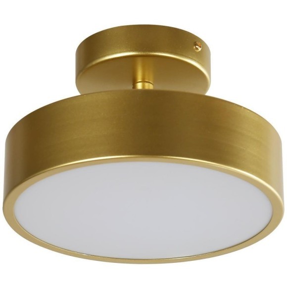 Накладной потолочный светильник Favourite 3059-2P Atma светодиодный LED 18W