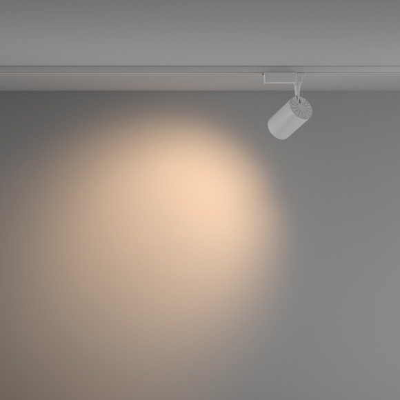 Однофазный двужильный светодиодный трековый светильник Maytoni Unity TR003-1-26W3K-W-W Vuoro 3000К 2690Лм CRI90+ 60° 26Вт