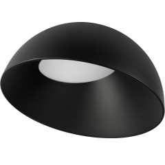 10197/500 BB  Потолочный светильник  LOFT IT Egg
