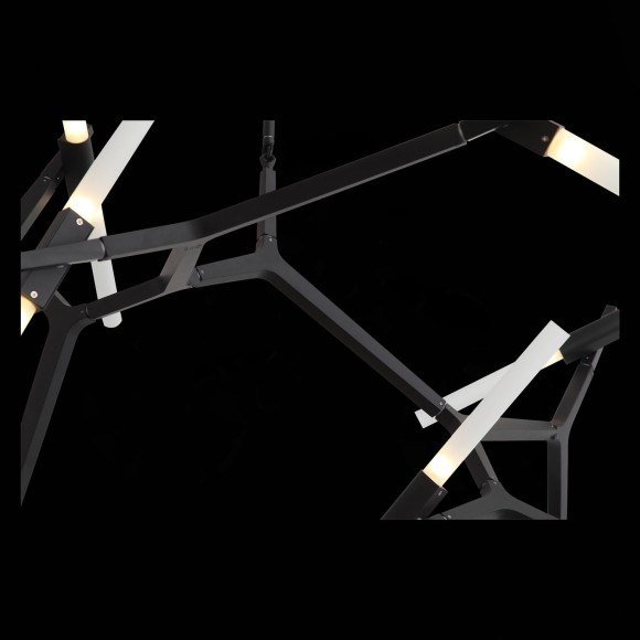 SL947.402.20 Люстра потолочная ST-Luce Черный/Белый G9 20*5W LACONICITA SL947.402.20 Люстра потолочная ST-Luce Черный/Белый G9 20*5W LACONICITA