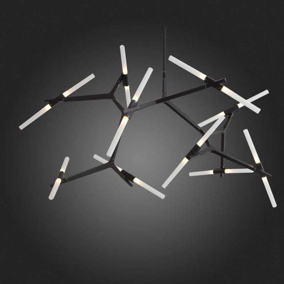 SL947.402.20 Люстра потолочная ST-Luce Черный/Белый G9 20*5W LACONICITA SL947.402.20 Люстра потолочная ST-Luce Черный/Белый G9 20*5W LACONICITA