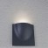 Фасадный светильник Arte Lamp TASCA A8512AL-1GY