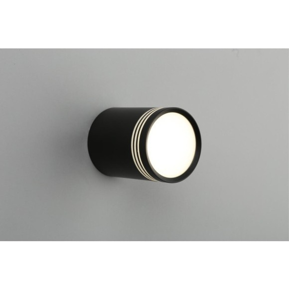 Точечный светильник 100 OML-100119-12 Точечный светильник 100 OML-100119-12