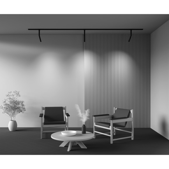 Однофазный двужильный светодиодный трековый светильник Maytoni Unity TR142-1-6W4K-B Focus Dual 4000К 460Лм CRI90+ 36° 6Вт Однофазный двужильный светодиодный трековый светильник Maytoni Unity TR142-1-6W4K-B Focus Dual 4000К 460Лм CRI90+ 36° 6Вт