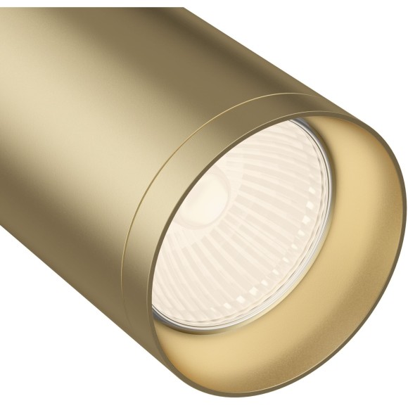 Однофазный двужильный трековый светильник Maytoni Unity TR004-1-GU10-MG Focus под сменную лампу GU10