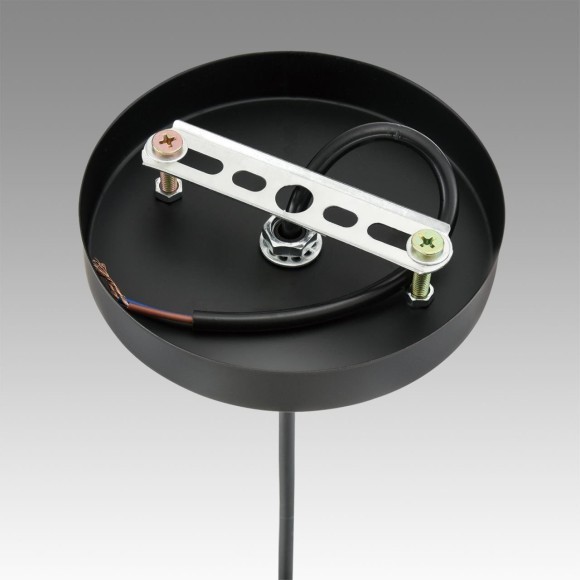 Подвесной светильник E27 Lumion ELENIKA 8056/1А