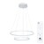 Подвесной светильник Arte lamp FRODO A2197SP-2WH