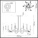 Люстра ODEON LIGHT LARK 5431/37L Люстра ODEON LIGHT LARK 5431/37L