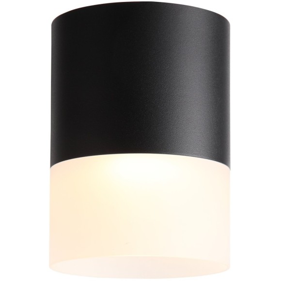 Потолочный светодиодный светильник ST Luce Ottu ST100.402.15