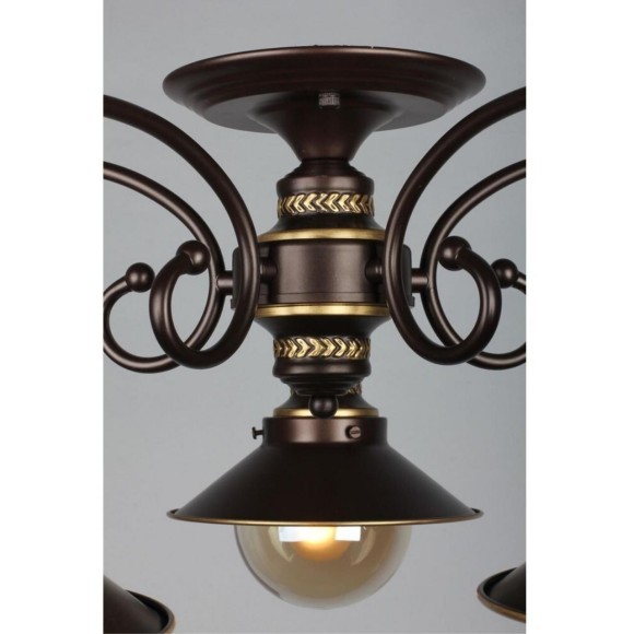 Потолочная люстра Fontelo OML-50407-05