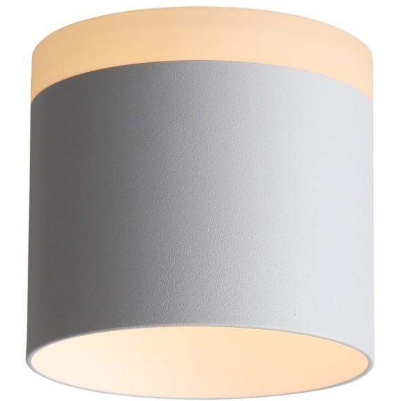 ST102.502.12 Светильник потолочный Белый LED 1*12W 3000K 936Lm Ra80 120° IP20 D100xH90 170-240V Накладные светильники