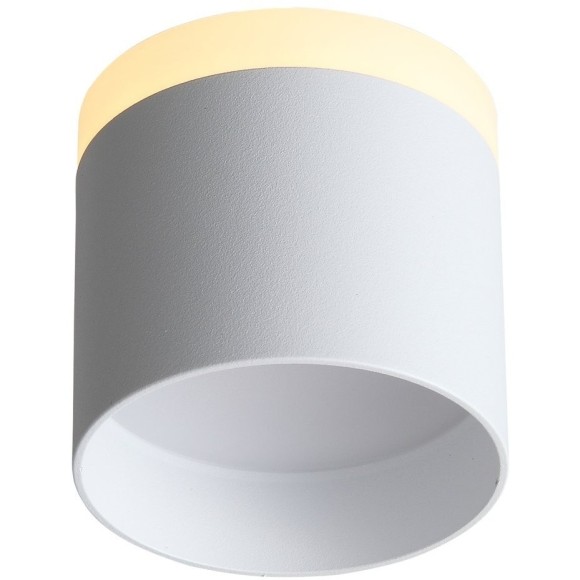 ST102.502.12 Светильник потолочный Белый LED 1*12W 3000K 936Lm Ra80 120° IP20 D100xH90 170-240V Накладные светильники