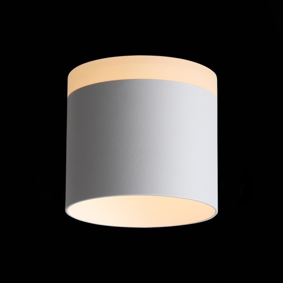 ST102.502.12 Светильник потолочный Белый LED 1*12W 3000K 936Lm Ra80 120° IP20 D100xH90 170-240V Накладные светильники