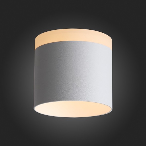 ST102.502.12 Светильник потолочный Белый LED 1*12W 3000K 936Lm Ra80 120° IP20 D100xH90 170-240V Накладные светильники