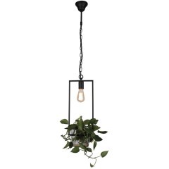 Подвесной светильник Situla 1975-1P Подвесной светильник Situla 1975-1P