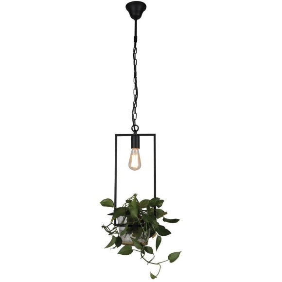 Подвесной светильник Situla 1975-1P Подвесной светильник Situla 1975-1P