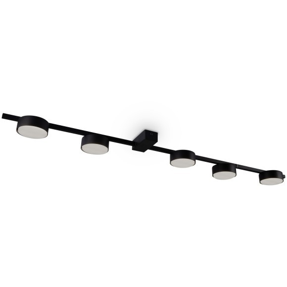 Потолочный светильник Freya FR5363CL-05B