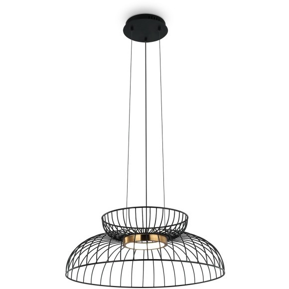 Подвесной светильник Freya FR5398PL-L6B