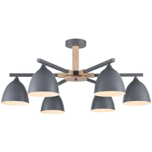 Люстра потолочная Е27 Lumion COLANGE 8096/6C