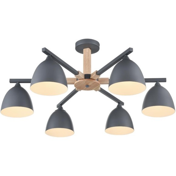 Люстра потолочная Е27 Lumion COLANGE 8096/6C