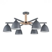 Люстра потолочная Е27 Lumion COLANGE 8096/6C