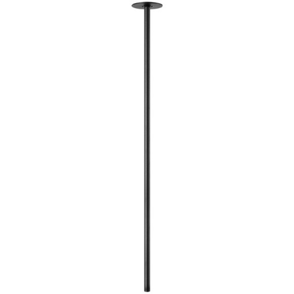10359/800 Black Потолочный светильник LOFT IT Cane