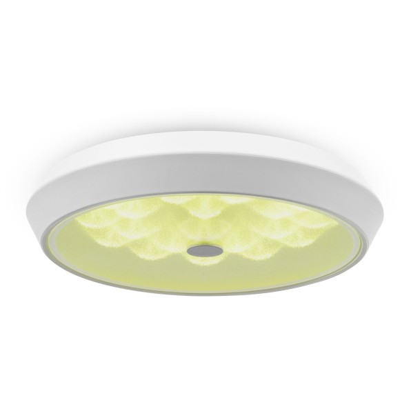 Потолочный светильник светодиодный диммируемый с пультом регулировкой цветовой температуры и яркости Cells FR10012CL-L24W RGB