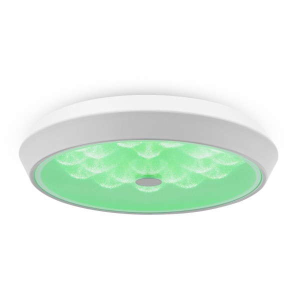 Потолочный светильник светодиодный диммируемый с пультом регулировкой цветовой температуры и яркости Cells FR10012CL-L24W RGB