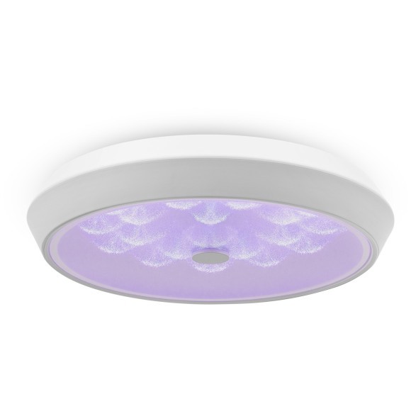 Потолочный светильник светодиодный диммируемый с пультом регулировкой цветовой температуры и яркости Cells FR10012CL-L24W RGB