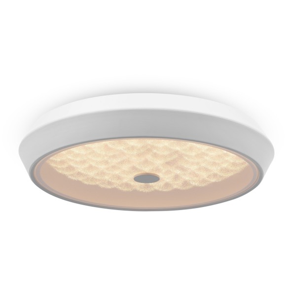 Потолочный светильник светодиодный диммируемый с пультом регулировкой цветовой температуры и яркости Cells FR10012CL-L24W RGB