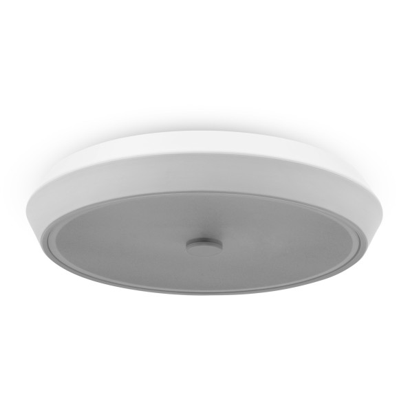 Потолочный светильник светодиодный диммируемый с пультом регулировкой цветовой температуры и яркости Cells FR10012CL-L24W RGB