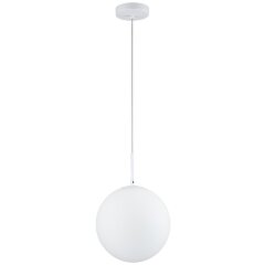 Светильник подвесной Stilfort 2168/01/01P серия Antell Светильник подвесной Stilfort 2168/01/01P серия Antell