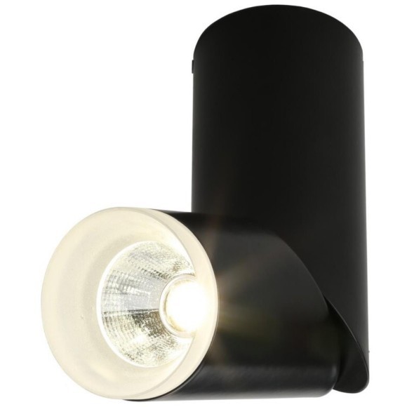 Точечный светильник 100 OML-100219-10 Точечный светильник 100 OML-100219-10