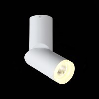 ST107.502.10 Светильник потолочный светодиодный 10W 3000K 780Lm Ra80