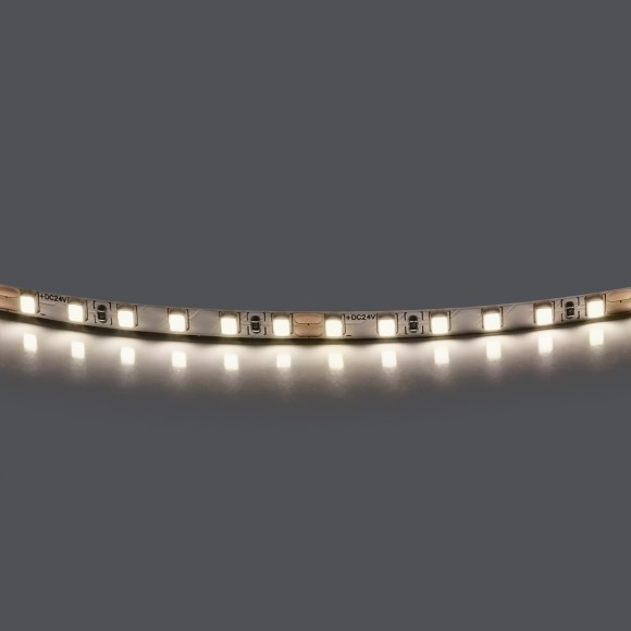 Лента LED 24V 5W 5m/roll 4000K без клейкой ленты Lightstar Lightstar 420544-02
