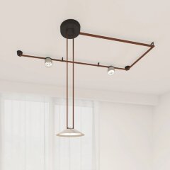 Готовая ременная трековая система Denkirs Belty DK55SET02-01-BR Готовая ременная трековая система Denkirs Belty DK55SET02-01-BR