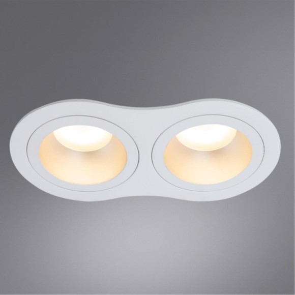 Встраиваемый светильник Arte Lamp A2161PL-2WH ALKES под лампы 2xGU10 50W Встраиваемый светильник Arte Lamp A2161PL-2WH ALKES под лампы 2xGU10 50W