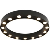 Потолочный светильник Attica 3007-15U