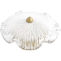 10352W/B AB Бра LOFT IT Bloom 10352W/B AB Бра LOFT IT Bloom