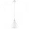 Подвесной светильник с 1 плафоном Lightstar 865016 Loft под лампу 1xE14 40W