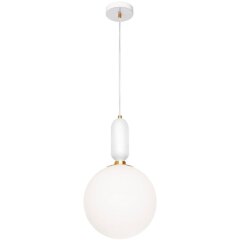 9975-C Подвесной светильник LOFT IT Parachilna 9975-C Подвесной светильник LOFT IT Parachilna