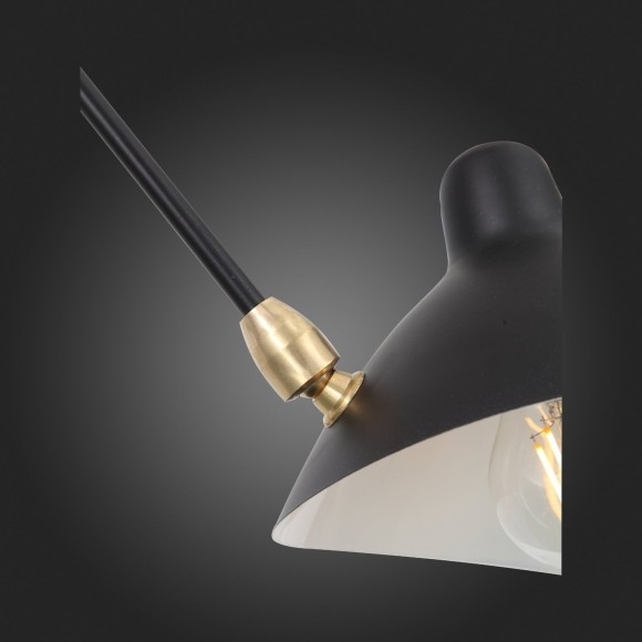 SL305.402.06 Люстра потолочная ST-Luce Черный/Черный, Белый E27 6*60W SPRUZZO SL305.402.06 Люстра потолочная ST-Luce Черный/Черный, Белый E27 6*60W SPRUZZO