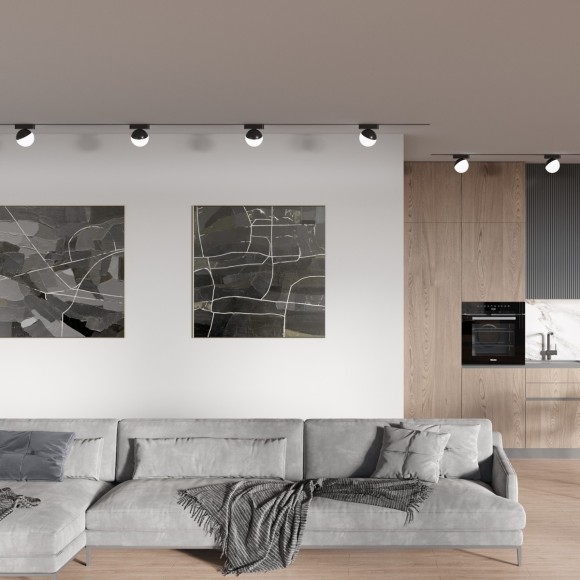 359262 Трековый магнитный светодиодный светильник Novotech SMAL 48V CRI90+ 3000К 800Лм 120° 10W 359262 Трековый магнитный светодиодный светильник Novotech SMAL 48V CRI90+ 3000К 800Лм 120° 10W