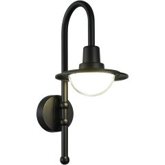 SL9512.401.01 Светильник уличный настенный ST-Luce черный/Прозрачный LED 1*10W 4000K PROCHE