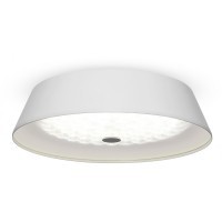 Потолочный светильник светодиодный диммируемый с пультом регулировкой цветовой температуры и яркости Cells FR10013CL-L24W RGB