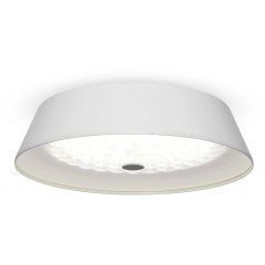 Потолочный светильник светодиодный диммируемый с пультом регулировкой цветовой температуры и яркости Cells FR10013CL-L24W RGB Потолочный светильник светодиодный диммируемый с пультом регулировкой цветовой температуры и яркости Cells FR10013CL-L24W RGB