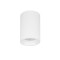 Светильник потолочный накладной HP16 1xGU10 max 9W IP65  Rullo IP65 Lightstar 214476IP65