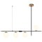 СВЕТИЛЬНИК ПОДВЕСНОЙ ARTE LAMP ARKAB A2225SP-4BK