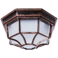 Уличный потолочный светильник Arte Lamp A3100PL-1AC PEGASUS IP44 под лампу 1xE27 60W