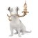 10312 Grey Настольная лампа LOFT IT Dog